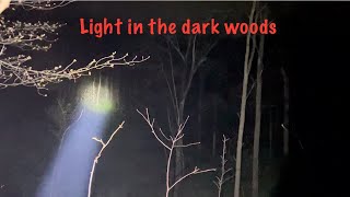 Light in the dark woods