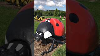 Giant insect sculpture found on google map and google earth#googlevideo#earthvideo#goolemap