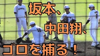 やっぱり坂本､中田翔､岡本のゴロさばきは特別うまかった！巨人の守備練習