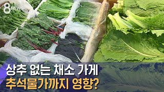 상추 없는 채소 가게…긴 장마, 밥상 물가까지 덮쳤다 / SBS