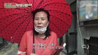 비만이 불러오는 원인 모를 ˹전신통증˼ #광고포함  | [명심보감] 6회 2| TV CHOSUN 20200921 방송