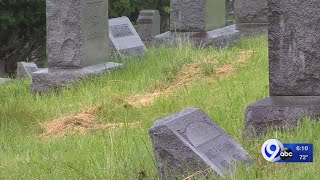 Cemetery's plan to deal with overgrown grass: Your Stories