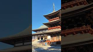 成田山新勝寺　三重塔　本堂　NaritasanShinshojiTemple Three-storyPagoda MainHall　Japan Beautiful Places #japan