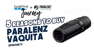 5 Reasons for Buying the Paralenz Vaquita | My GoPro \u0026 Paralenz Journey Ep11