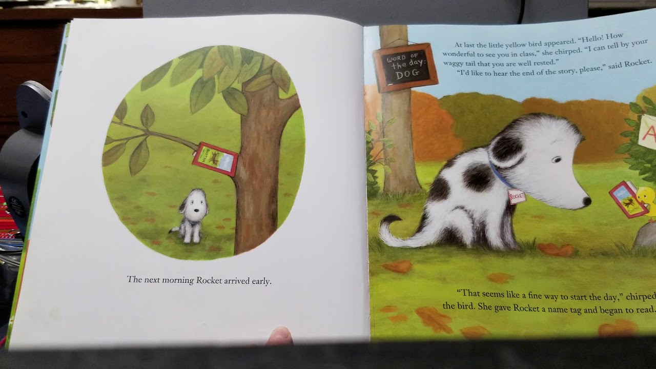 How Rocket Learned To Read Youtube