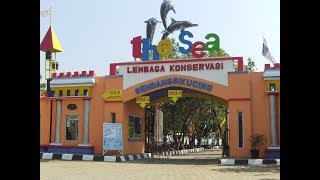 Pantai Cahaya Kendal Jawa Tengah - Tempat Wisata Keluarga Yang Seru & Menyenangkan