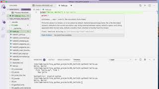 Tiny Python Projects: Ch 1 Pt 2 (adding comments)