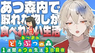 【あつ森】1週間あつ森内で入手した物しか食べれない生活～3日目 進化の夜編～【新人vtuber /  弐十】