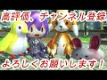 【アヴァベル】2019 01 12 gvg violence様戦