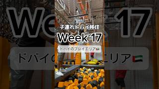 【子連れドバイ移住🇦🇪】Week 17〜ドバイのプレイエリア✨夏休みに向けて屋内遊び場を開拓！本格的なアスレチックとウォールクライミングに満足 #shorts #海外移住 #ドバイ #アブダビ