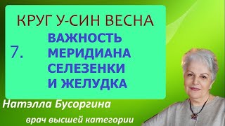 7.Важность  меридиана селезенки и желудка.