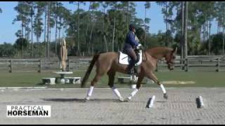 Use Cavalletti to Improve Trot Lengthenings