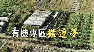 【農地開發】有機專區的搬遷夢｜農民等待政府兌現以地易地 (1112集 2021-07-05)