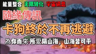 【能量整合】卡狗終於不再逃避，為你而來 所愛隔山海，山海皆可平，塔羅牌