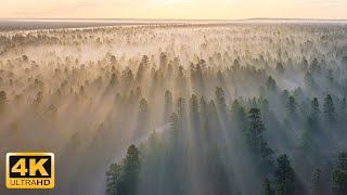 6 Hours Fascinating Aerial Views of Nature 4K