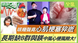 關羽陸樹銘咳幾聲心肌梗塞猝逝！武打港星呆坐沒反應驟逝！身材中廣、手長過膝、臉紅 恐心血管急病警訊！必學居家復能黃金3動作！長期缺B群與鎂 中風心梗風險大！ 健康2.0 20221120 完整版