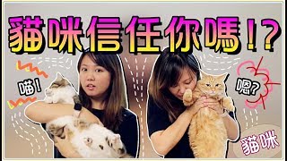 【Annie】Five Ways! Testing Cats' Level of Trust! Watch Out! Don't Be Bitten!