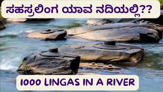 Sahasralinga River Shrine with 1000 Lingas  ಸಹಸ್ರಲಿಂಗ ಸಾವಿರ ಲಿಂಗಗಳ ನದಿ #shortvideos