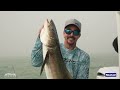 into the fog light tackle cobia catch and cook