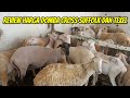 Review harga paket breeding domba cross texel dan sulfok di Kandang Kurawa Farm Kediri