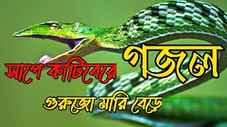 সাপে কাটিবেরে গুরজো মারিবেরে কঠিন আজাব হইবে শোনো বেনামাজির কবরে,2022