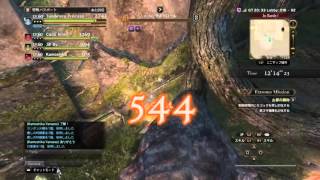 【DDON】エクストリームミッション3　古都の賜物　セージ視点