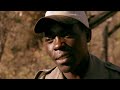 wild dog island 2009 full documentary