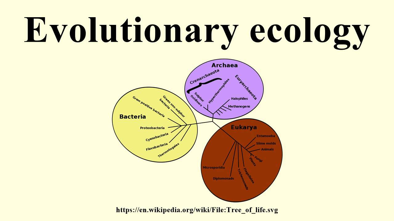 Evolutionary Ecology - YouTube