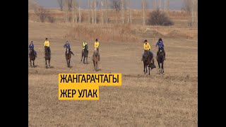 Жангарачтагы жер улак/ Жышан жашарды, Тату чаңытты...