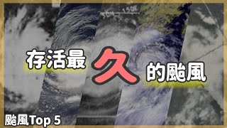 【颱風Top5】存活時間最長的颱風前五名