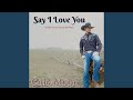 Say I Love You (You Might Not Get to Say Goodbye)