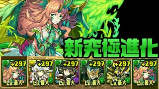 【パズドラ】新究極進化！獣伐の鷹龍契士・シルヴィを使ってみた！