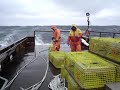 lobster fishing with shaftmaster fv jaqueline marie out on george s bank.