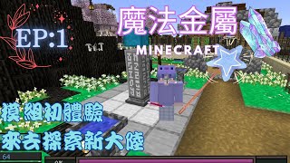 【Minecraft魔法金屬】|第一集| 🎈🧸RPG模組初體驗~~這訊息量也太大了吧!! [Mua嘟]  #魔法金屬 #rpg