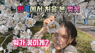 독일에서 보기 힘든 벚꽃이 너무 좋은 독일 여자 ( ENG) | Cherry blossom season and shopping on a sunny day