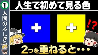 【楽しすぎ】存在しないあり得ない色　～色の雑学～【ゆっくり解説】