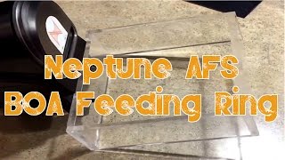Red Sea Reefer 250 | Neptune AFS (Auto Feeding System) | Building An Obsession F