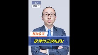 2025年1月7日都帅收评：反弹有延续性吗？