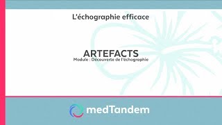 Artefact | Découverte de l'échographie en médecine générale