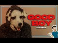 UNA MASCOTA HUMANA TURBIA | Good Boy