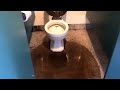 vintage toilet overflow