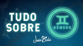 TUDO SOBRE GÊMEOS | POR JOÃO BIDU