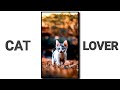 cat lover status | what's app status | trending status