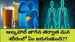 ఆల్కహాల్ తాగిన తర్వాత మన శరీరంలో ఏం జరుగుతుంది??what happened after taking alcohol in our body