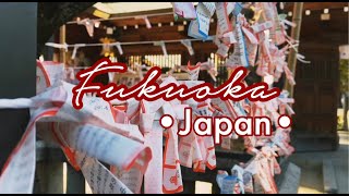 DISCOVER FUKUOKA! JAPAN FOR THE FIRST TIME! SOLO TRAVEL | KYUSHU