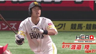 ホークス渡邉陸　期待のニューヒーロー現る(夢スポ　2022年5月OA)