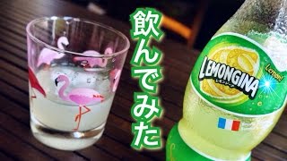 【食べ物】レモンジーナ飲んでみた。土の味？