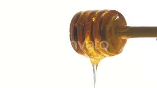 Honey Dripping From a Wooden Spoon, on White, Shadow | Stock Footage - Envato elements