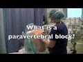 1. Paravertebral Block