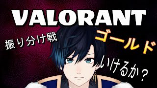 【VALORANT】振り分け戦。いくぞ初コンペ！！！